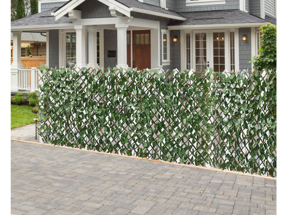 Set of 6 Fences in willow lattice "Fragon" - 200 x 100 cm - Green