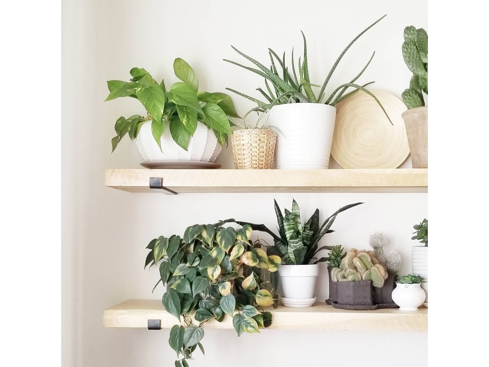 Set of 2 wooden wall shelves "LAM008"...
