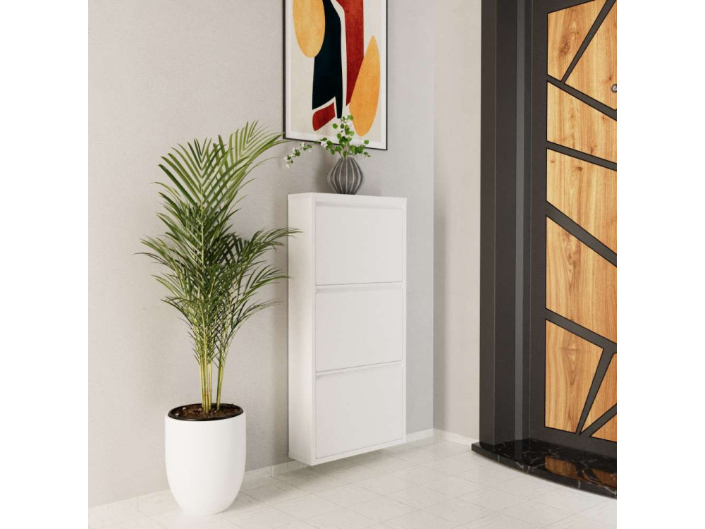 Luna" metal shoe cabinet - 50 x 15 x...