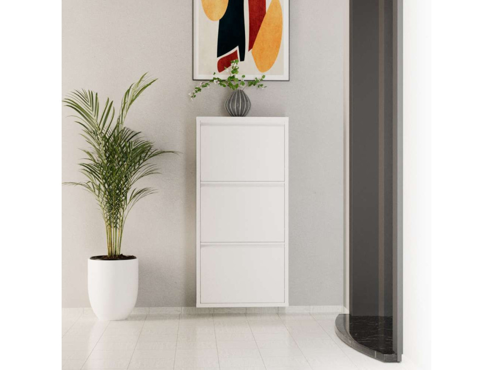 Luna" metal shoe cabinet - 50 x 15 x...
