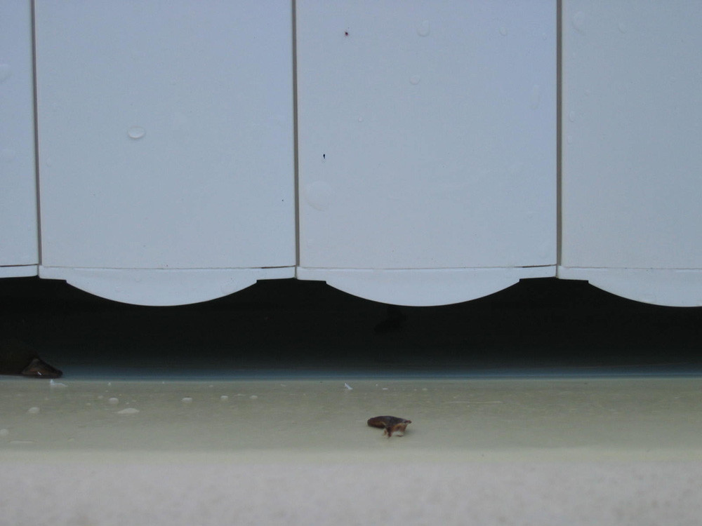 Mouv &amp; Roll" above-ground roller shutter for Rio pool