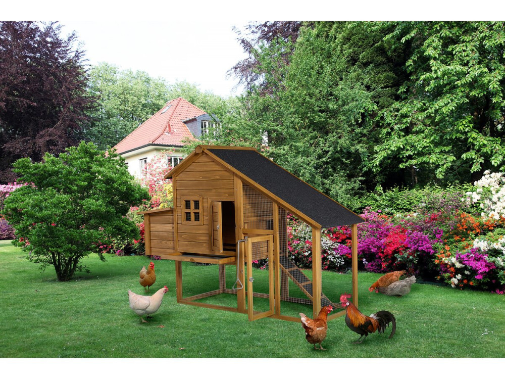 Princesse" henhouse with wooden nesting box - 4 hens - Brown
