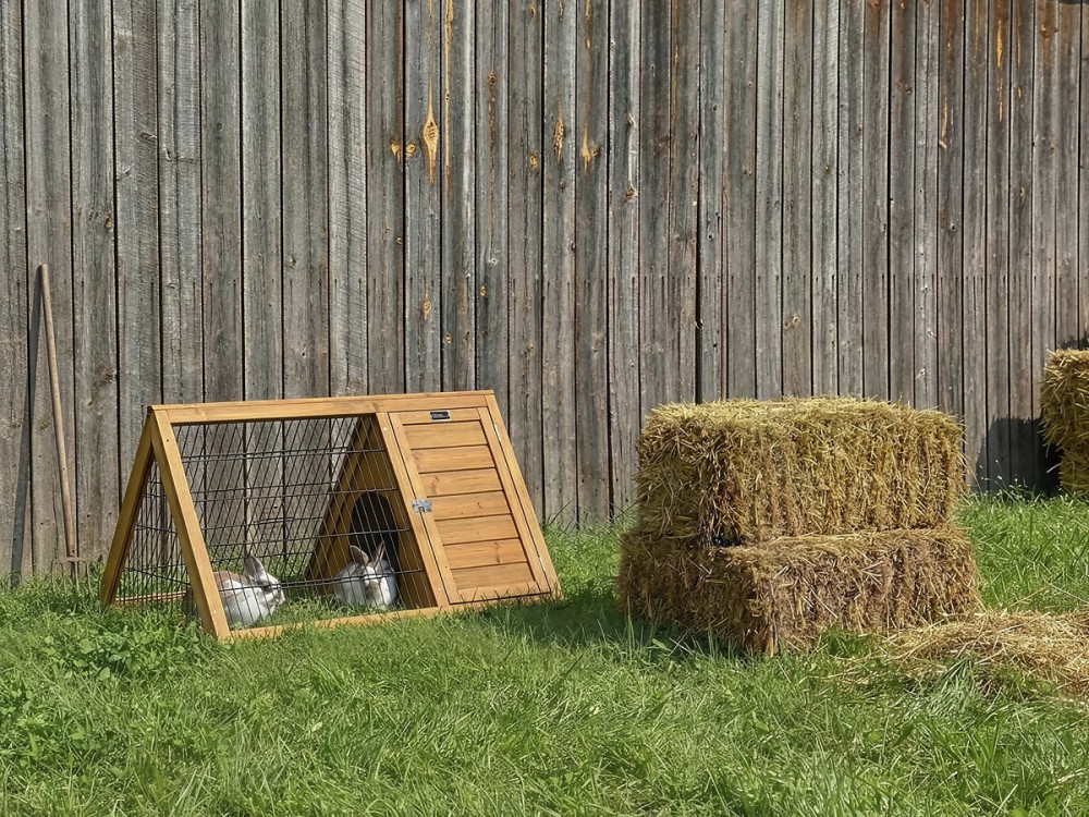 Biscotte" hutch - 100 x 62 x 52 cm - Brown