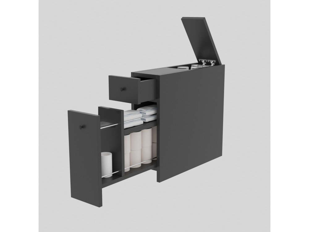 Calencia" wooden bathroom cabinet - 60 x 19 x 55 cm - Anthracite grey