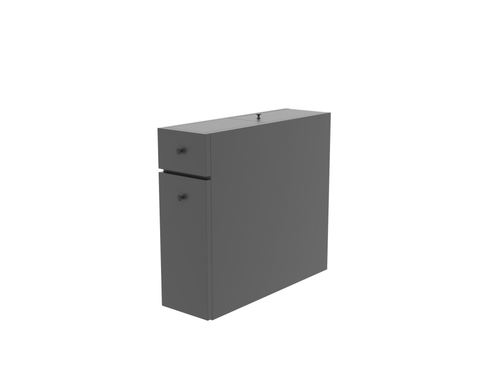 Calencia" wooden bathroom cabinet - 60 x 19 x 55 cm - Anthracite grey
