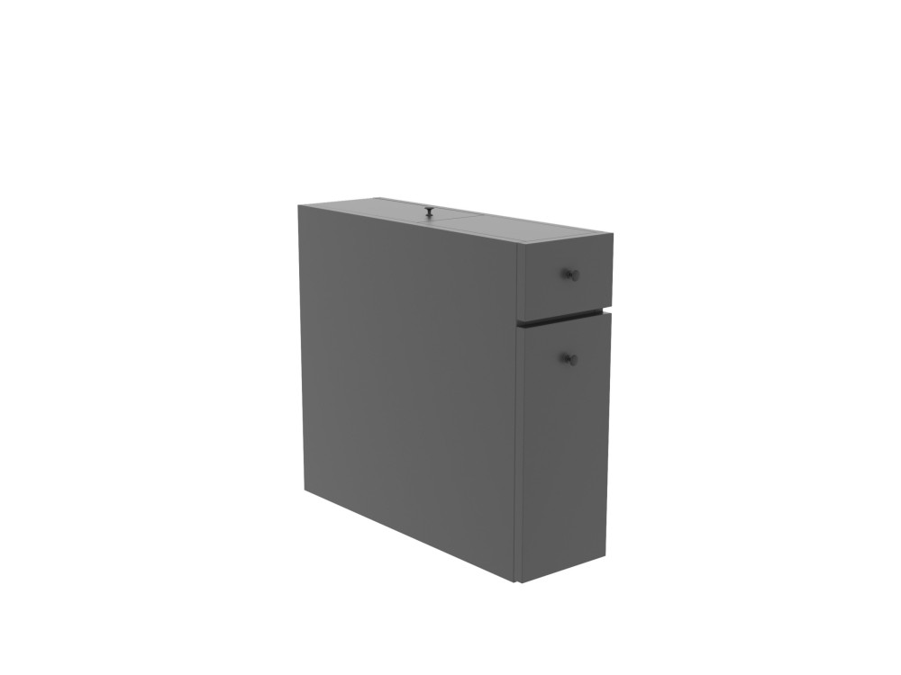 Calencia" wooden bathroom cabinet - 60 x 19 x 55 cm - Anthracite grey