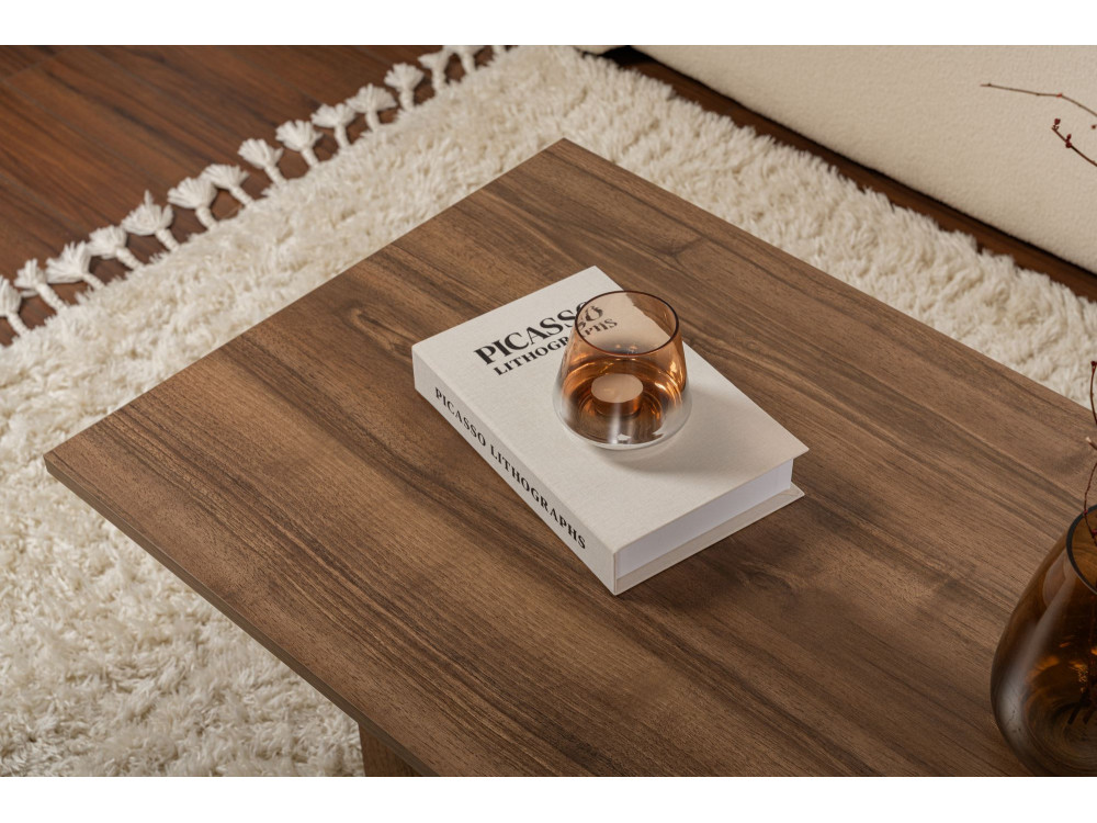 Sabin" wooden coffee table - 60 x 119 x 40 cm - Walnut