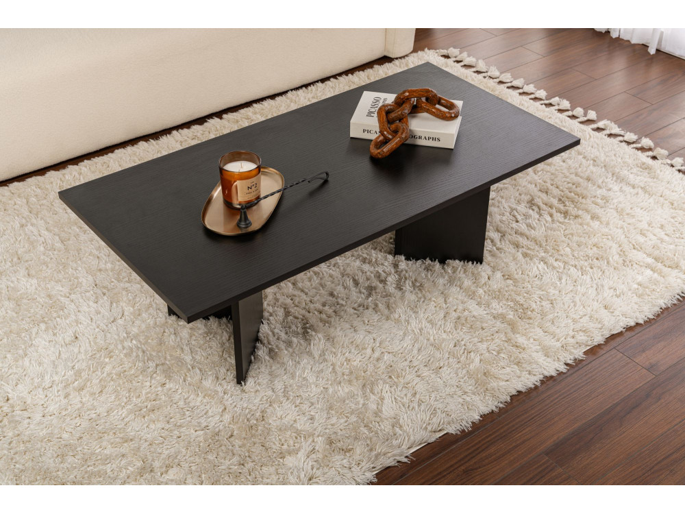 Sabin" wooden coffee table - 60 x 119 x 40 cm - Black wood