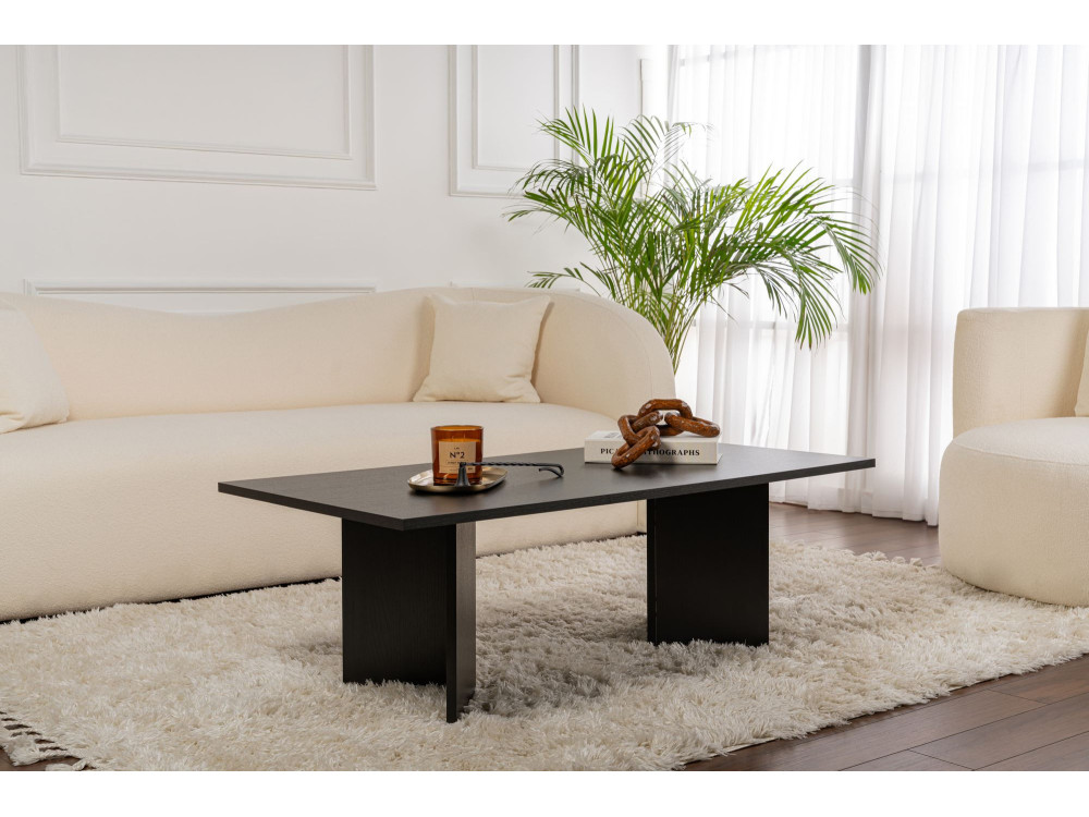 Sabin" wooden coffee table - 60 x 119 x 40 cm - Black wood