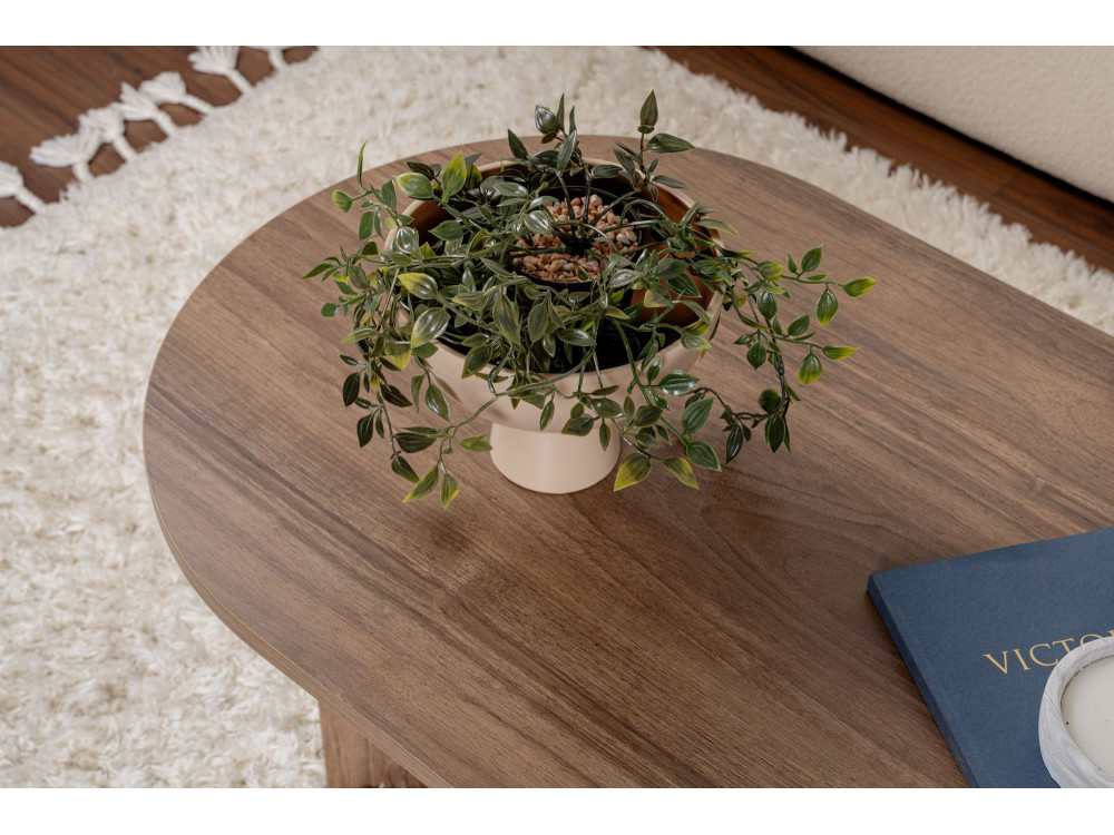 Wooden coffee table "Sable" - 60 x 119 x 40 cm - Walnut