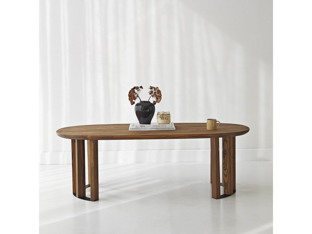 Elysia" wooden coffee table - 120 x 60 x 40 cm - Brown