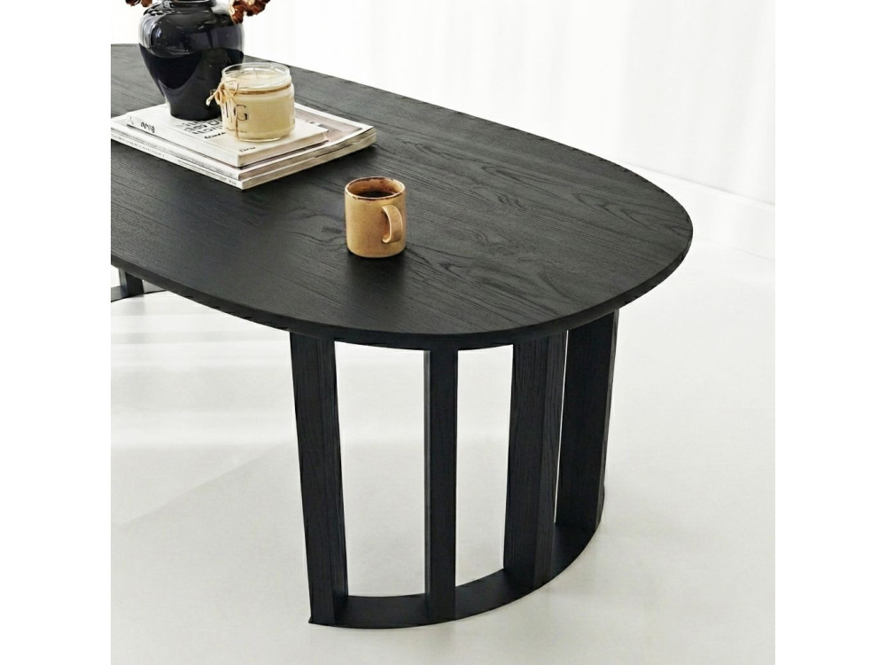 Elysia" wooden coffee table - 120 x 60 x 40 cm - Black