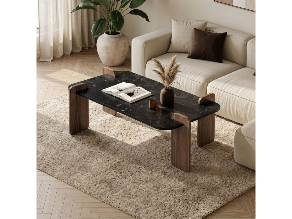 Renard" wooden coffee table - 120 x 60 x 35 cm - Black