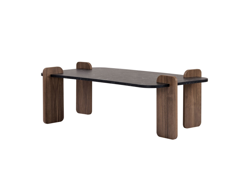 Renard" wooden coffee table - 120 x 60 x 35 cm - Black