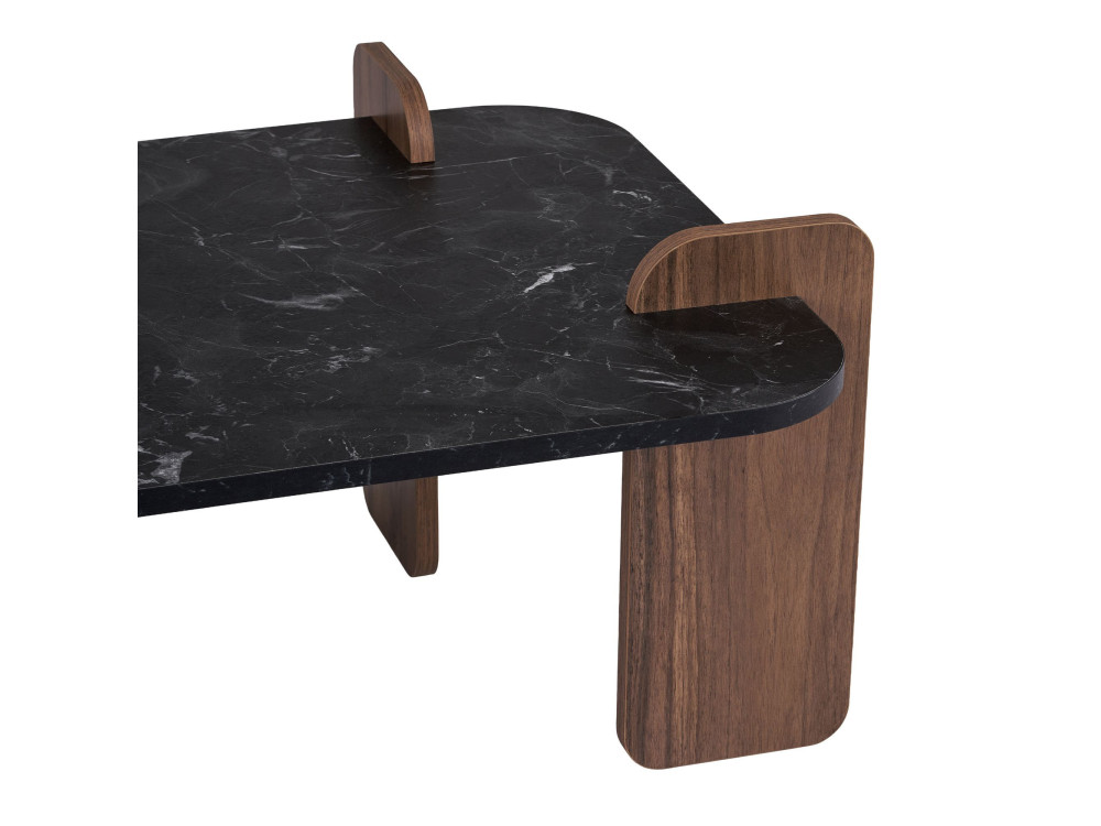 Renard" wooden coffee table - 120 x 60 x 35 cm - Black