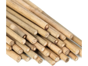 Kit of 15 bamboo sukkah slats, 15 x 110 cm