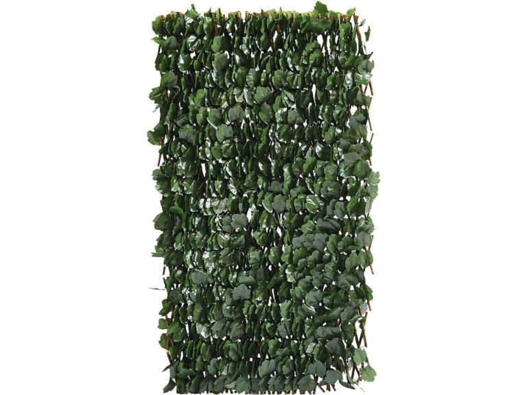 Willow lattice fence "Fragon" - 200 x 100 cm - Green