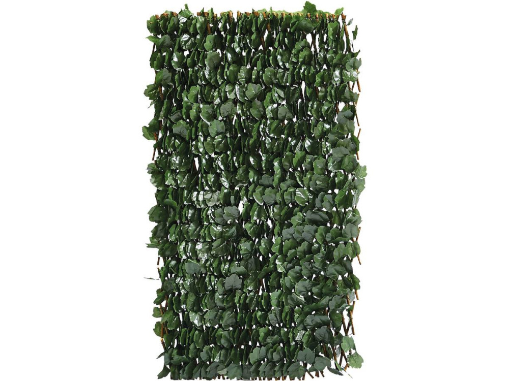 Willow lattice fence "Fragon" - 200 x 100 cm - Green