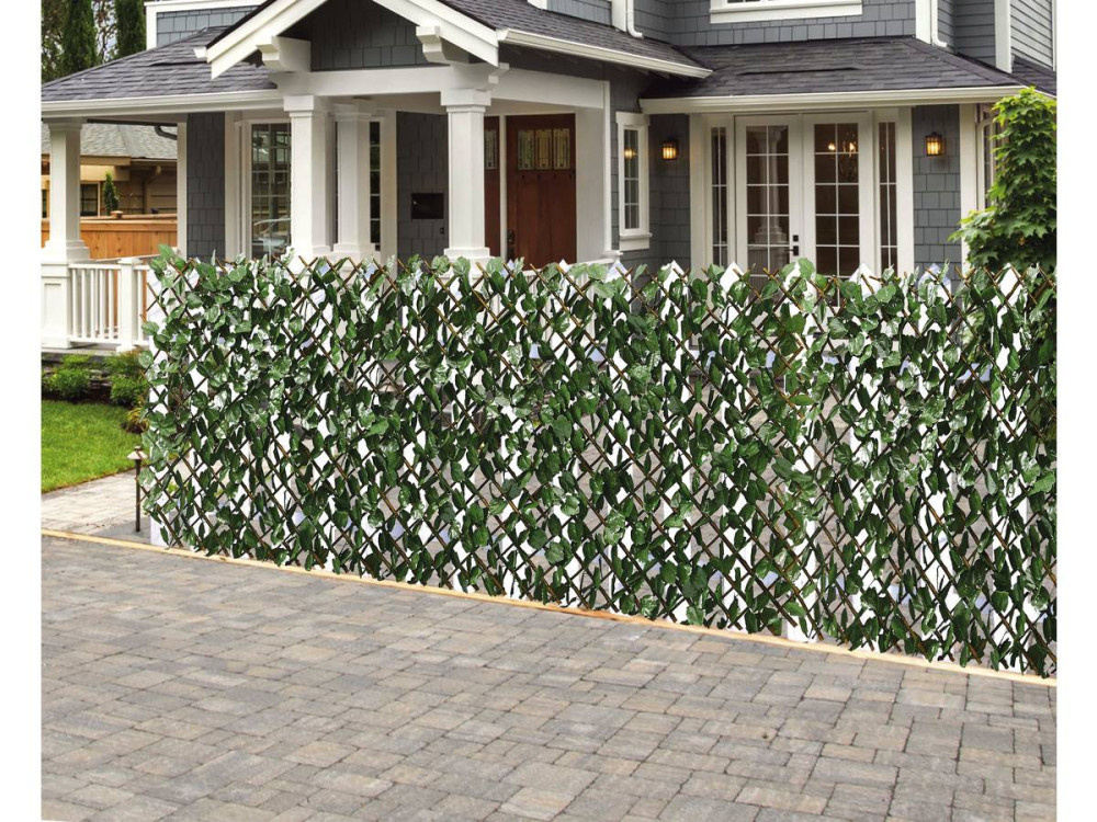 Willow lattice fence "Fragon" - 200 x 100 cm - Green