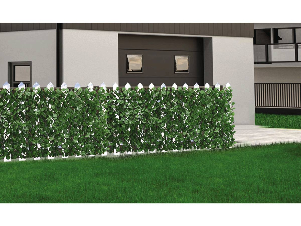 Willow lattice fence "Fragon" - 200 x 100 cm - Green