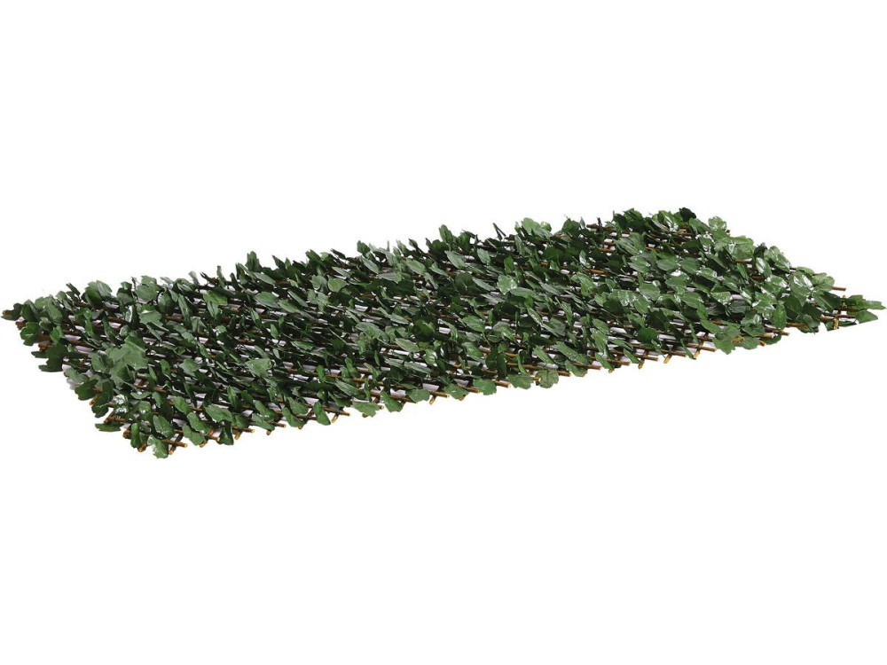 Willow lattice fence "Fragon" - 200 x 100 cm - Green