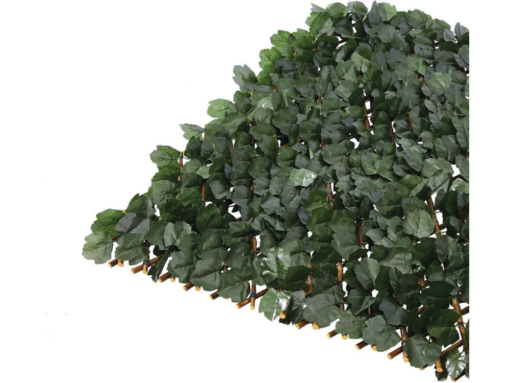 Willow lattice fence "Fragon" - 200 x 100 cm - Green