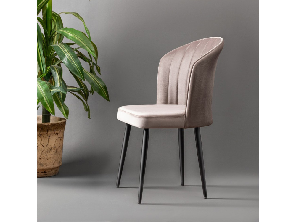 Rubi" set of wooden chairs (2 pieces) - 52 x 42 x 85 cm - Cappuccino