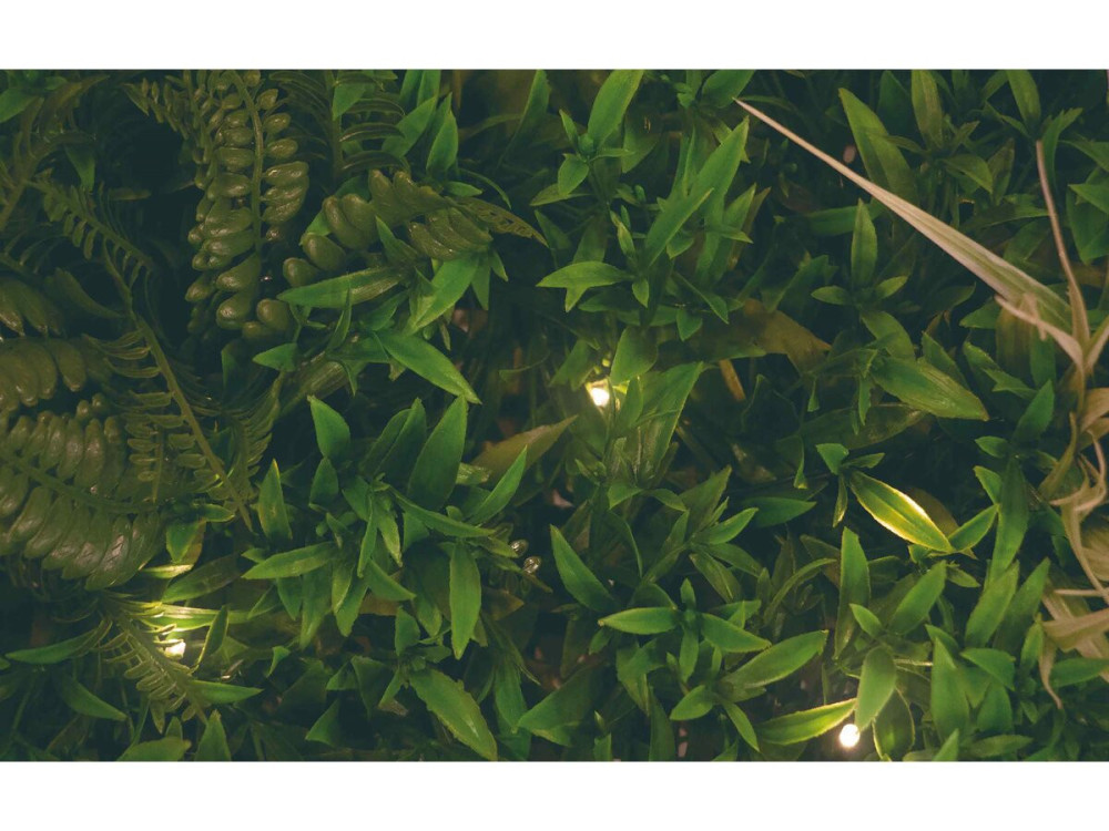 Plant sign - "Vertical Sauvage Led" - Set of 4 - 1.00 x 1.00 m - Green
