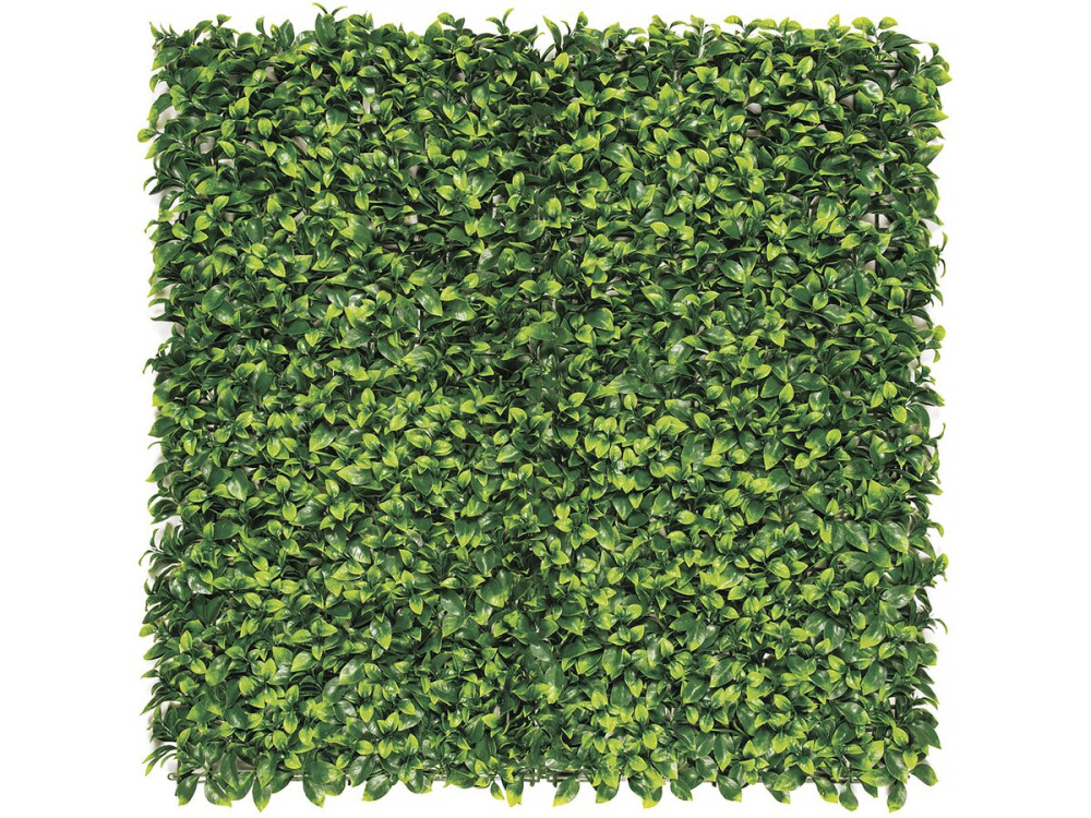 Plant panel - "Vertical Lauro" - Set of 6 - 1.00 x 1.00 m - Green