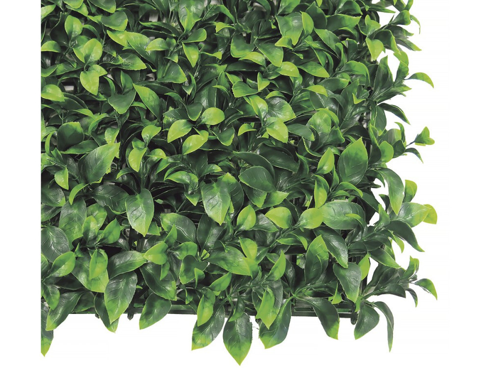 Plant panel - "Vertical Lauro" - Set of 6 - 1.00 x 1.00 m - Green