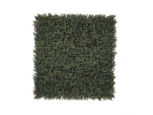 Vertical Buxus" plant panel - Set of 4 - 1.00 x 1.00 m - Green