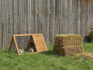 Biscotte" hutch - 100 x 62 x 52 cm - Brown 2