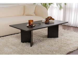 Sabin" wooden coffee table - 60 x 119 x 40 cm - Black wood 2